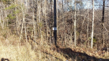 Chestnut Way Tract 3