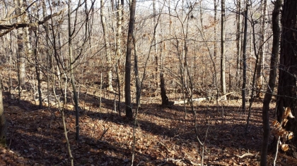 Chestnut Way Tract 3