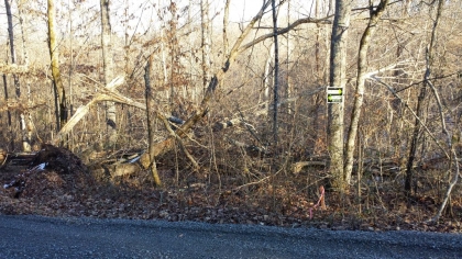 Chestnut Way Tract 6