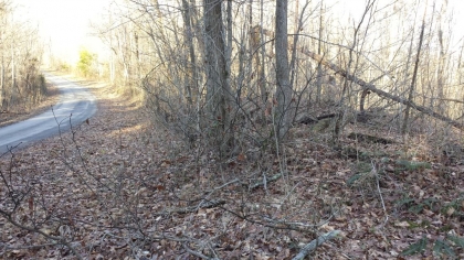 Chestnut Way Tract 6