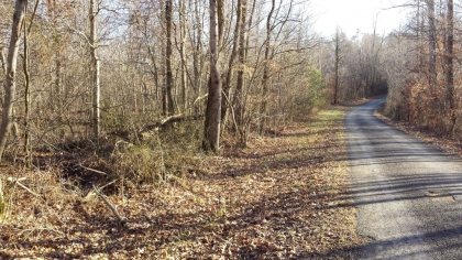 Chestnut Way Tract 6