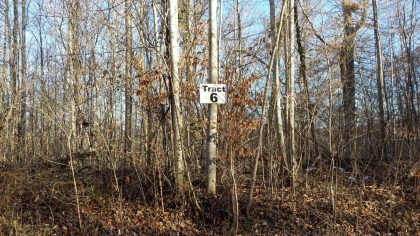 Chestnut Way Tract 6