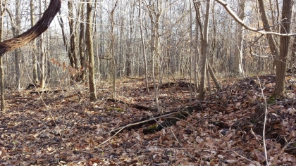 Chestnut Way Tract 6