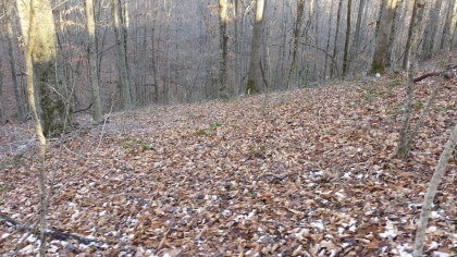 Chestnut Way Tract 6