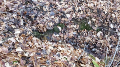 Chestnut Way Tract 6