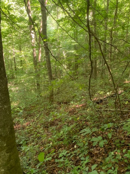 Dry Creek Acres Tract 6