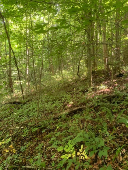 Dry Creek Acres Tract 6