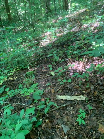 Dry Creek Acres Tract 6