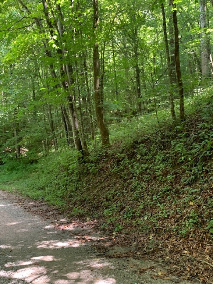 Dry Creek Acres Tract 6