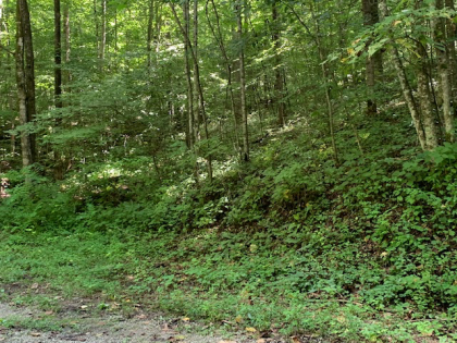 Dry Creek Acres Tract 6