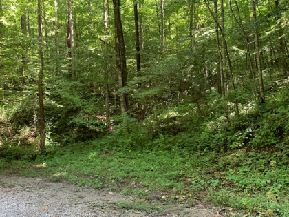 Dry Creek Acres Tract 6