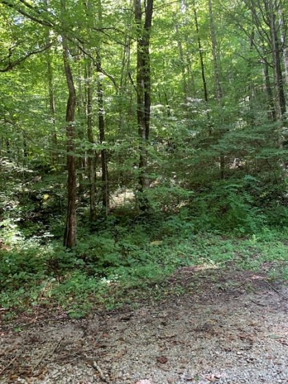 Dry Creek Acres Tract 6