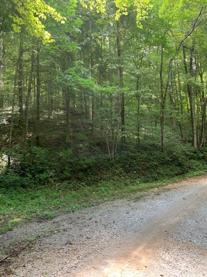 Dry Creek Acres Tract 6