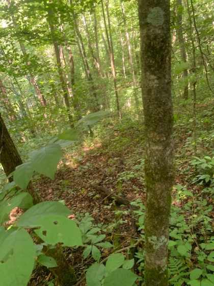 Dry Creek Acres Tract 6