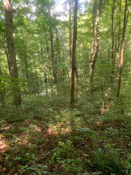 Dry Creek Acres Tract 6