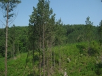 Over Hill Tract 2