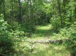 Clear Fork Acres Tract 55