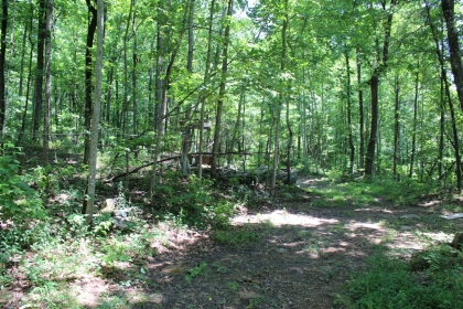 Falcon Crest 57 Acre Tract