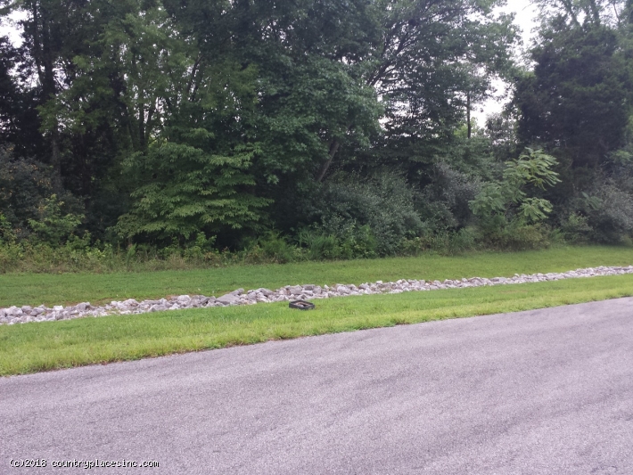 Grand Vista Bay Tract 222