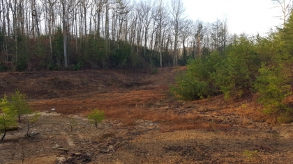 Wilder Acres Phase 3 Tract 7A