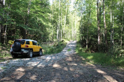 Paint Rock Creek Tract 36