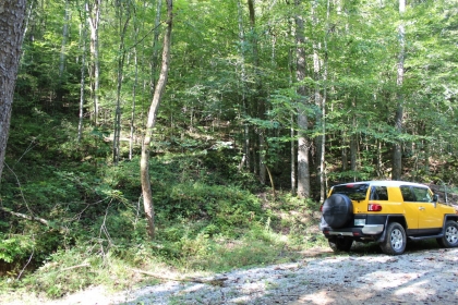 Paint Rock Creek Tract 36