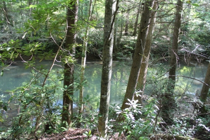 Paint Rock Creek Tract 36