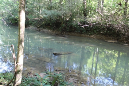 Paint Rock Creek Tract 36