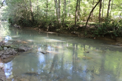 Paint Rock Creek Tract 36