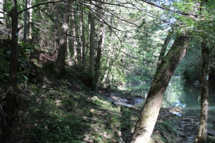 Paint Rock Creek Tract 36