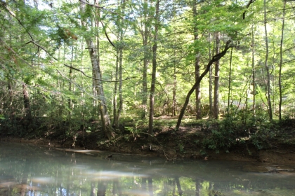 Paint Rock Creek Tract 36