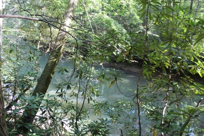 Paint Rock Creek Tract 36