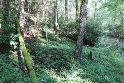 Paint Rock Creek Tract 36