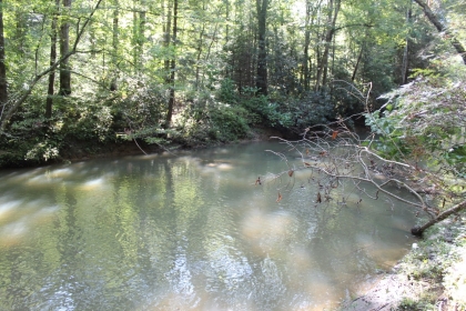Paint Rock Creek Tract 36