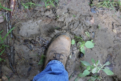 Paint Rock Creek Tract 36