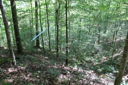 Paint Rock Creek Tract 36
