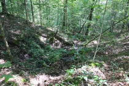 Paint Rock Creek Tract 36