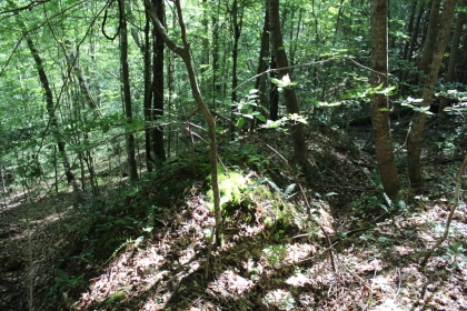 Paint Rock Creek Tract 36