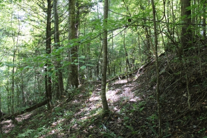 Paint Rock Creek Tract 36