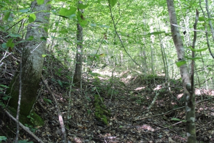 Paint Rock Creek Tract 36