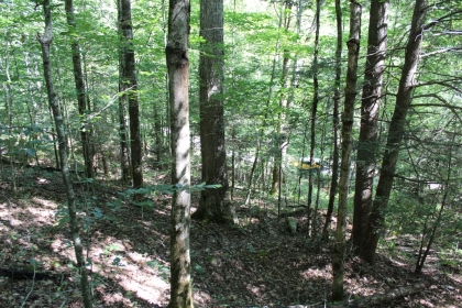 Paint Rock Creek Tract 36