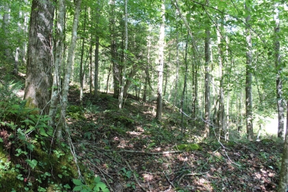 Paint Rock Creek Tract 36