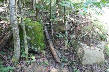 Paint Rock Creek Tract 36