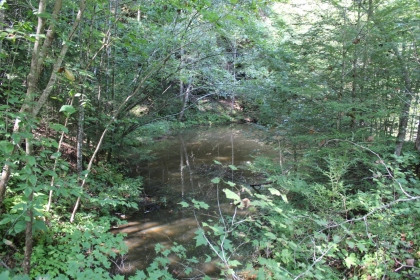 Paint Rock Creek Tract 36