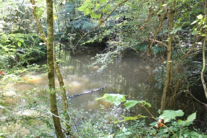 Paint Rock Creek Tract 36