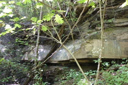 Paint Rock Creek Tract 36