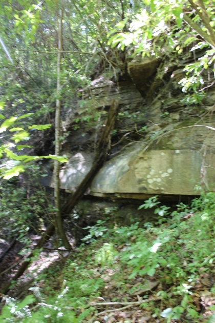 Paint Rock Creek Tract 36