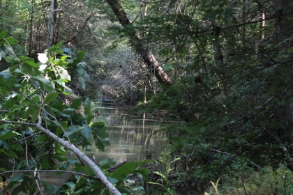 Paint Rock Creek Tract 36