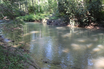 Paint Rock Creek Tract 36