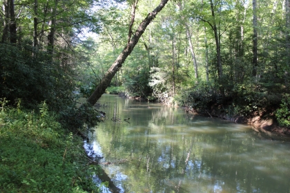 Paint Rock Creek Tract 36